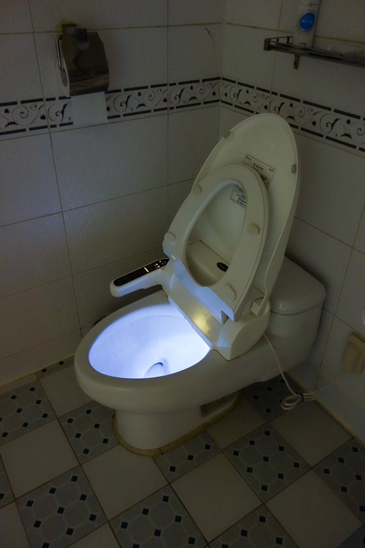 Korea again - Incheon - Daegu - Busan - Gwangju - Seoul - 2015 - And now, a photograph of my toilet. You might notice that it has a white light in it. Theres no way to turn this off. It is a permanent beacon in my r