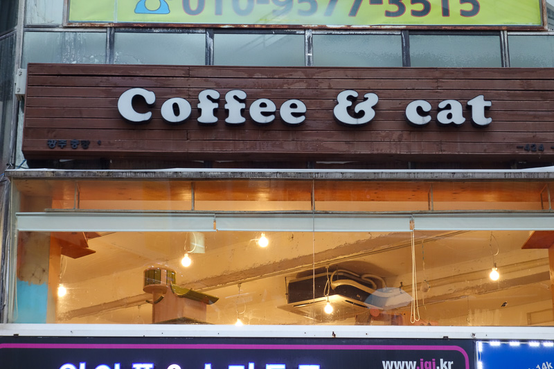 Korea-Gwangju-Pizza-Rain - The delicate flavour of the cat is accentuated by the hand ground single origin coffee. Together they form a flavour alliance that cannot be beaten.