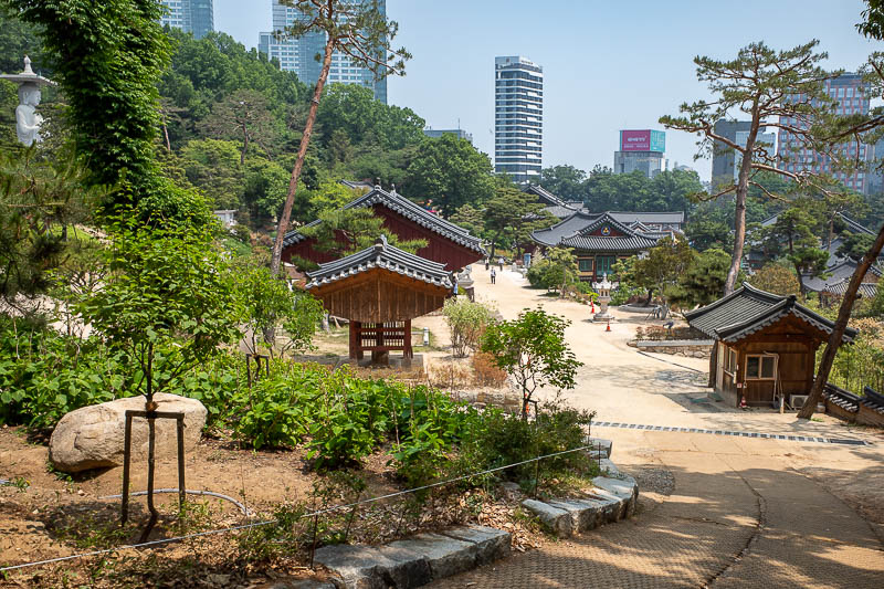 Korea-Seoul-Bongeunsa-Temple - Buddha with Korean characteristics