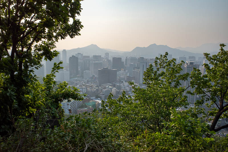 Korea-Seoul-Namsan-Curry - Small mountain stroll