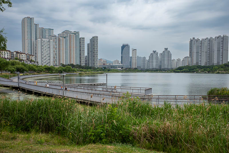 Korea-Suwon-Gwanggyo Lake - There it is, Gwanggyo lake park, complete with the double g Koreans love to throw into words. Threatening skies would eventually deposit a small amoun