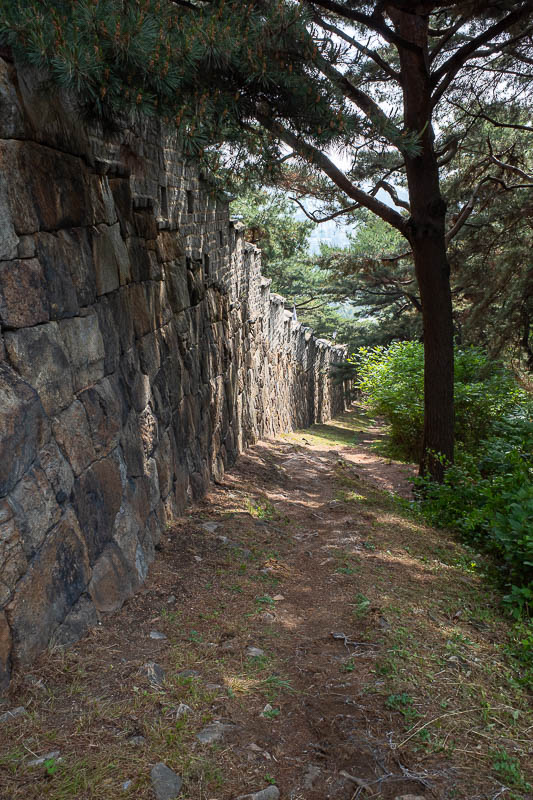 Korea-Suwon-hwaseong fortress - I found the wall. There are people on the other side of the wall, but I could not get to that side. I had to walk back down and back up again once I g