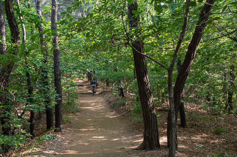 Korea-Suwon-Hiking-Gwanggyosan - The lower parts of the trail were smooth enough for mountain bikers, ignoring the no bikes allowed warning signs.