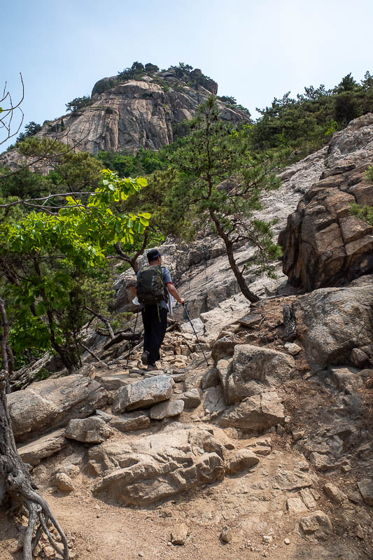 Korea for the 4th time - May and June 2022 - Next I have to get up there. The path was just follow the rock flow, or, follow this guy with his hiking poles who has been here before.