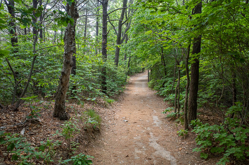 Korea-Suwon-Hiking-Gwanggyosan - Instead you get to enjoy this luxuriously wide path.