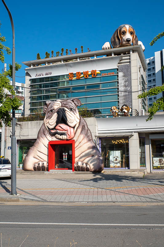 Korea-Suwon-Food-Banchan - The local doggy day spa. I actually saw this out the bus window earlier, so I was thrilled to go past it again on my walk.