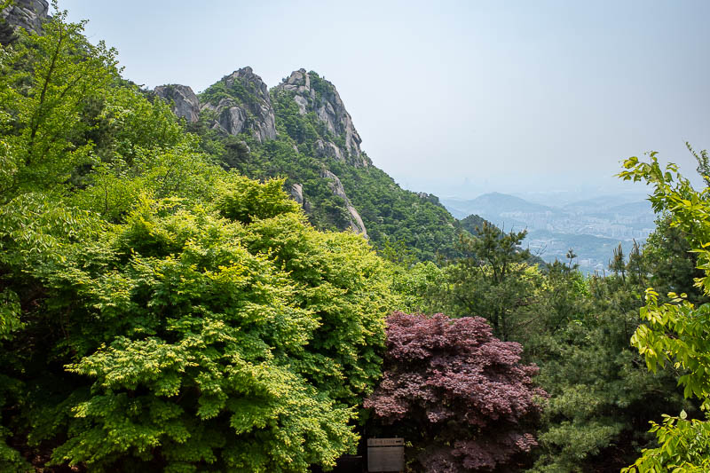 Korea-Seoul-Hiking-Bukhansan - This one was taken inside the rest hut, someone planted a different tree to make the view slightly more interesting. There was a lot of shade on today
