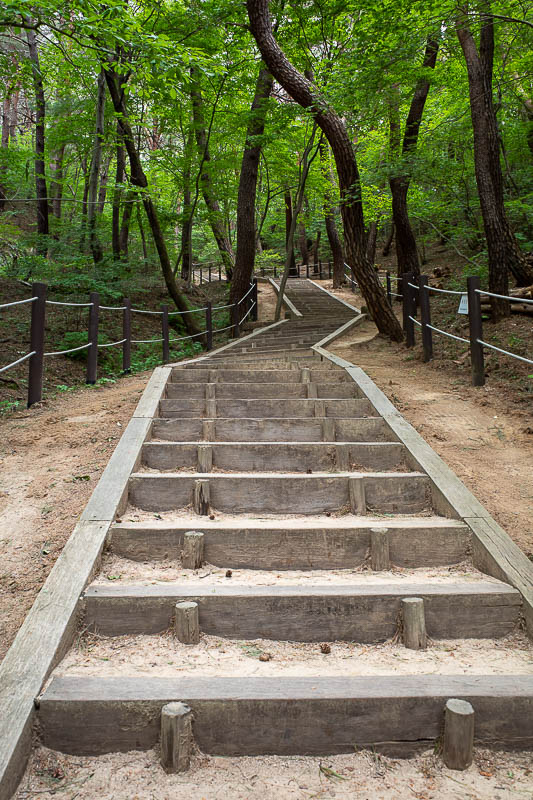 Korea-Daegu-Hiking-Palgongsan-Gatbawi - The start of the hike up through the camping grounds (wooden decks) is a nice staircase.