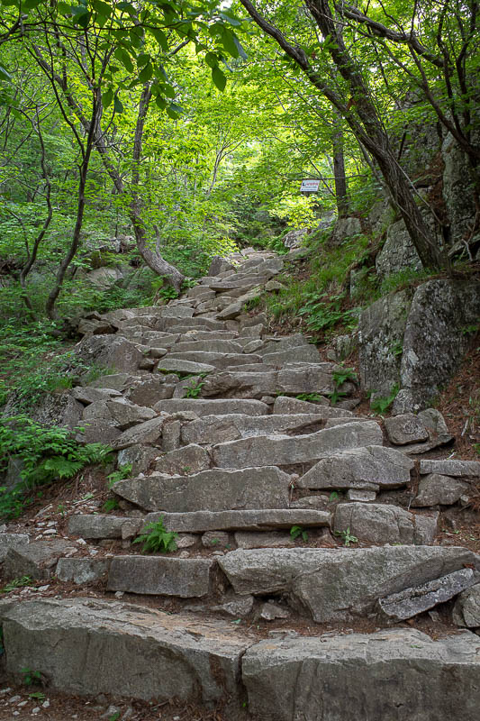 Korea-Daegu-Hiking-Palgongsan-Gatbawi - Above these stairs, I should have turned right, but I wanted to get to the highest point, because I am like a cat.