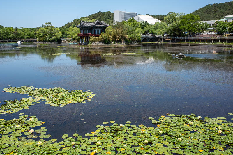 Korea-Daegu-Arboretum-Market - Last one of the pond, with a colourful structure on the island, more of the arts centre including what I think is an IMAX screen, because art is best 