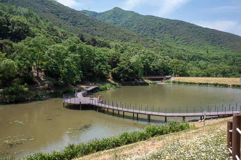 Korea-Daegu-Hiking-Yongjibong - The camping areas seem to be here so that people can appreciate this small pond. Hmm, not sure I see the attraction.