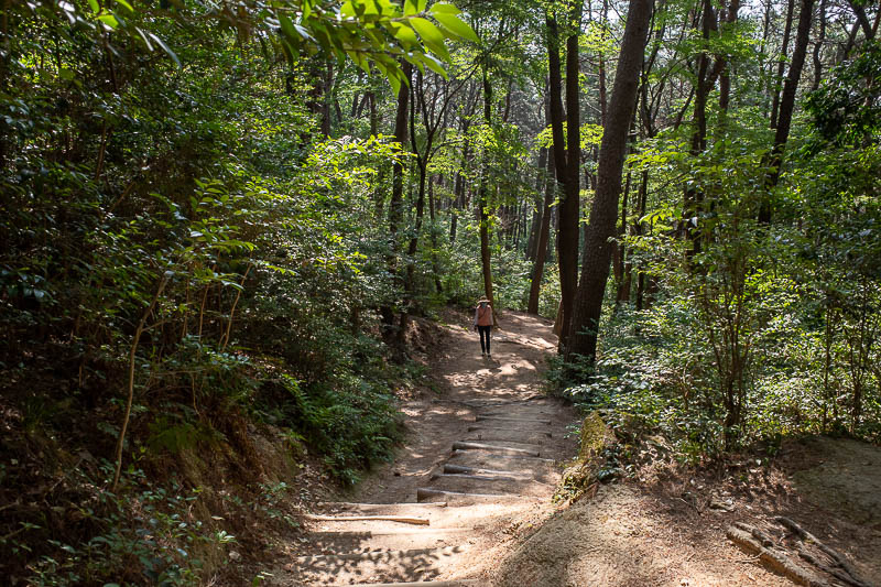Korea-Busan-Hiking-Geumjeong - Here is the sort of path I found. It is different to the path I took up last time. By far the most strenuous part of the day is the first bit, getting