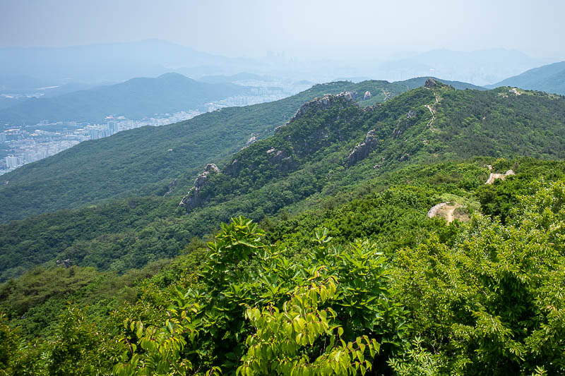 Korea-Busan-Hiking-Geumjeong - Here is a bit of the wall, almost overgrown by trees. The tall buildings you can see if you squint through the haze near the middle of this pic are a 
