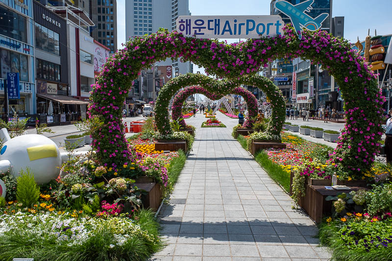 Korea for the 4th time - May and June 2022 - OK, here is the main drag at Haeundae. It is often featured on youtube. At xmas time there were a thousand fully decorated xmas trees here.