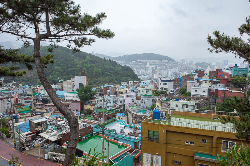 Korea for the 4th time - May and June 2022 - The view back down to Busan in the rain. I would like to have an afternoon coffee one day and come up here at night for the city lights view.