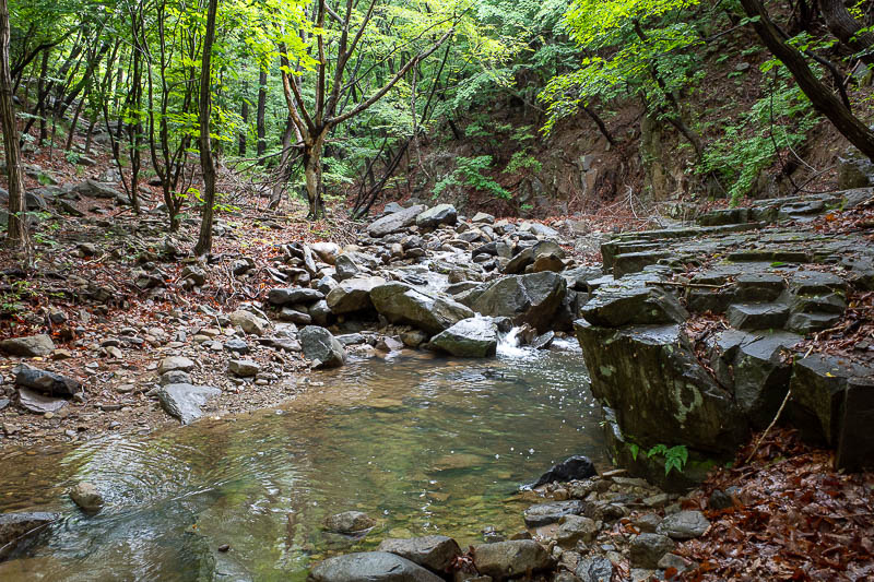 Korea-Busan-Hiking-Jangsan - To get back to the right trail I had to cross a stream. Not a raging river I might drown in but I was very aware that I might slip and go under, with 
