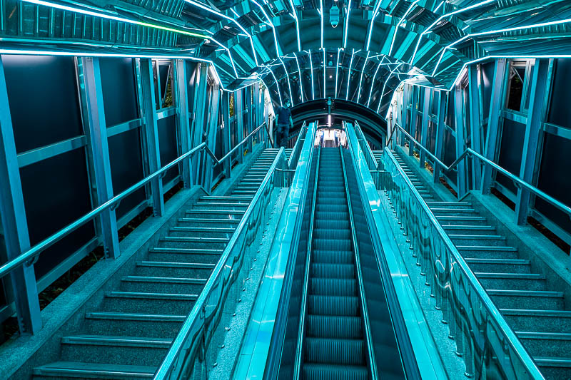 Korea-Busan-Food-Doria - The escalators up the hill are a technicolor wonderland.