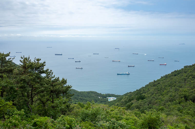 Korea-Busan-Hiking-Taejongdae - All these ships are full of the natural gas they stole from Australia that Korea already paid for that Australia didn't want.
