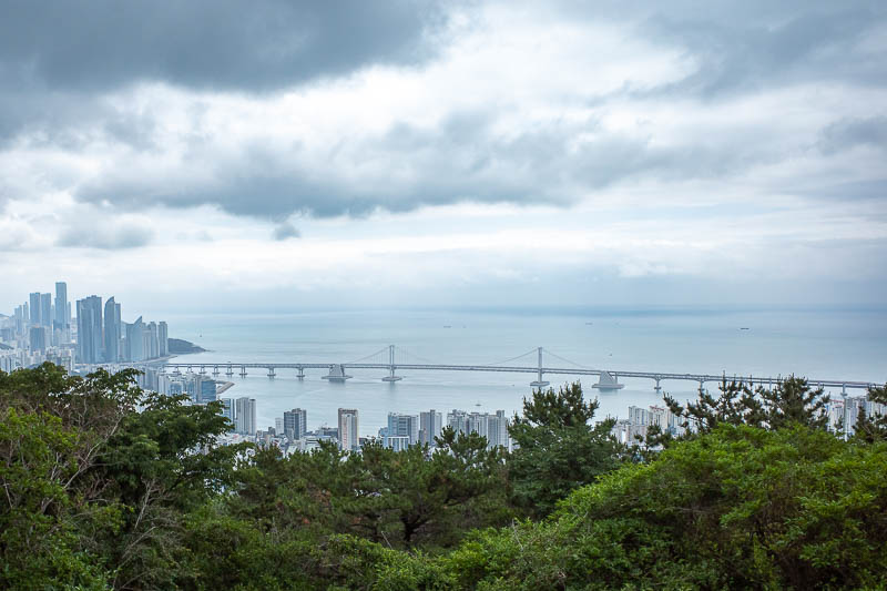 Korea-Busan-Hiking-Hwangnyeongsan - Not a lot of chance for a view on the way down, but when I saw the bridge I knew where to go next.