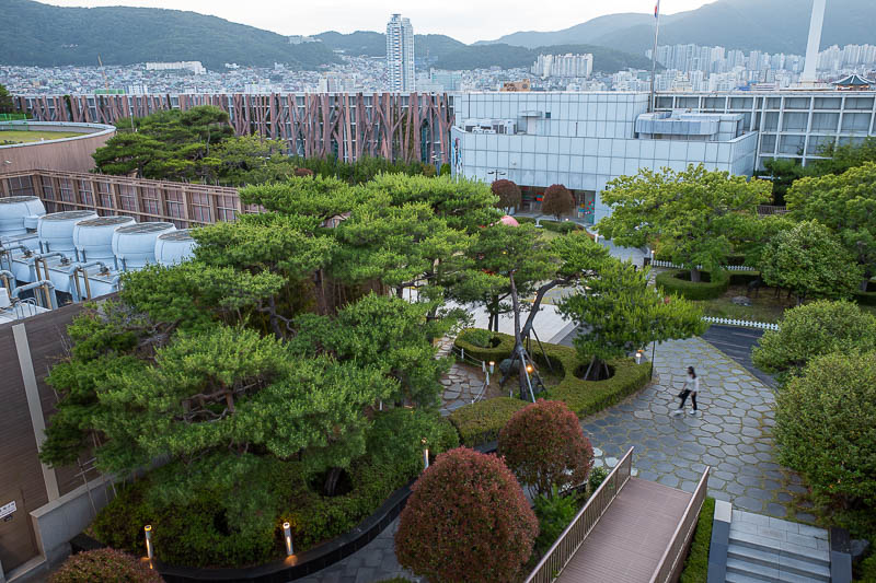 Korea-Busan-View - Now for the Lotte Department Store roof. The roof garden is very large.
