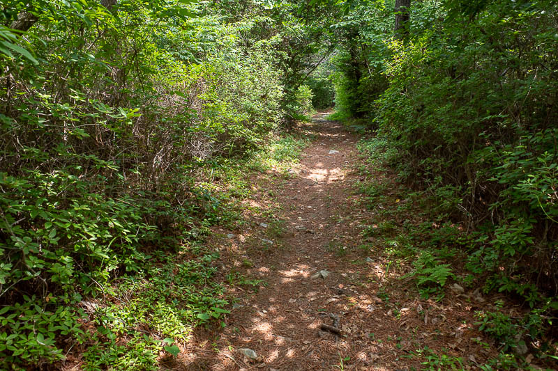 Korea-Yeosu-Hiking-Gubongsan - The path down from Janggunsan started like this. I came to a fork, the left fork continued to Maraesan, the right fork went down to the city. I went l