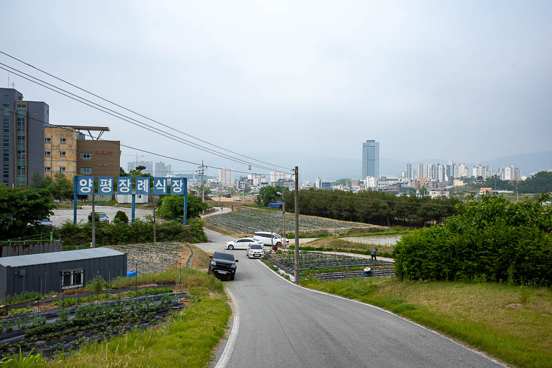 Korea for the 4th time - May and June 2022 - Here is Yangpyeong as seen from the entrance to the graveyard. One of these buildings is not like the others.