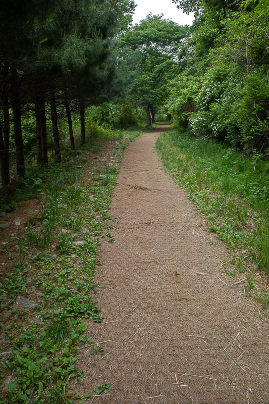 Korea-Seoul-Hiking-Yongmunsan - Start of the trail was hessian rug paradise.