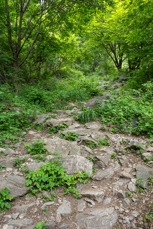 Korea-Seoul-Hiking-Yongmunsan - Then rocks arrived, and for the rest of the day, I had to watch my feet closely at all times.