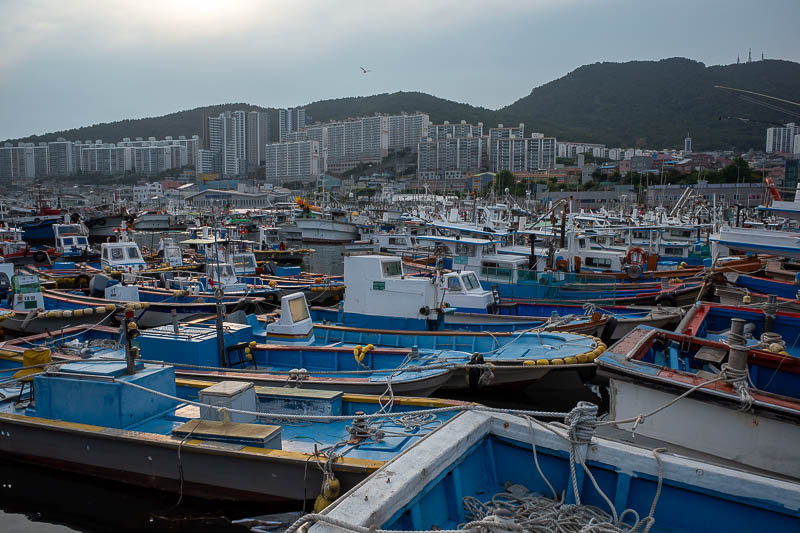 Korea-Yeosu-Food - I walked across all these boats back to the shore.