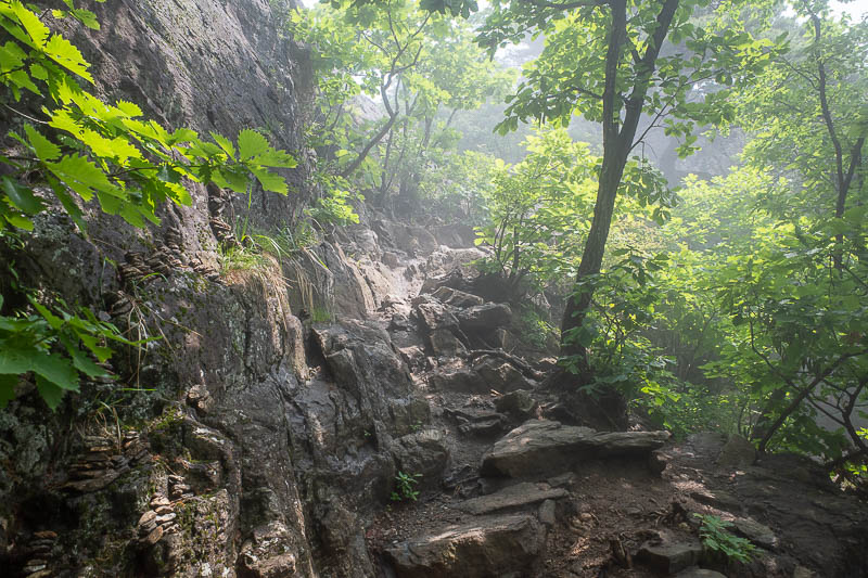 Korea-Seoul-Hiking-Cheonmasan - Unfortunately, this was the best the fog had to offer. Needed more denseness.