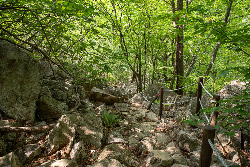 Korea-Seoul-Hiking-Yongmunsan - The descent down to the temple was long, but well marked. The markers however had often shifted in landslides. This was a bit concerning.