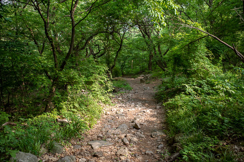 Korea-Seoul-Hiking-Yongmunsan - Finally, 100 metres from the end, a normal sort of a path!