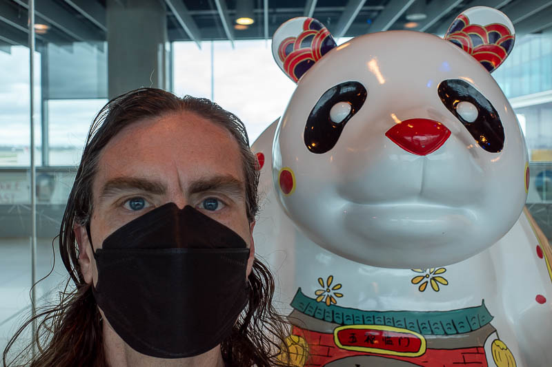 Korea twice in one year - November 2022 - It is me, with my thousand yard stare, and my friend the Chengdu panda for the flights that used to go to Chengdu from Melbourne but have not done so 