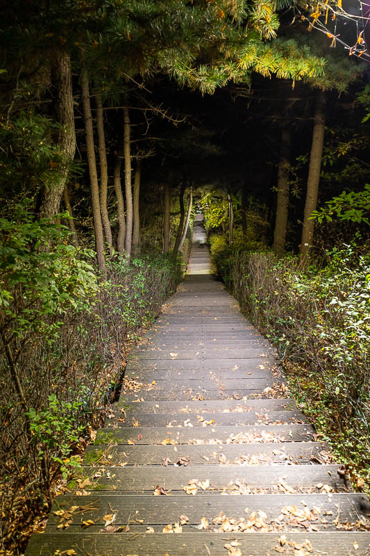 Korea-Seoul-Namsan-Pasta - I found my well lit but lonely path down.