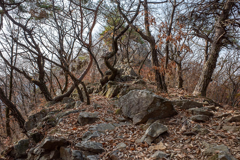 Korea-Seoul-Hiking-Yebongsan - Occasionally the leaves gave way to rocky bits of the trail.