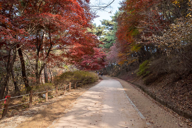Korea-Seoul-Namhansanseong - It took me some time to find the wall, but the leaves were nice. More leaf views later.
