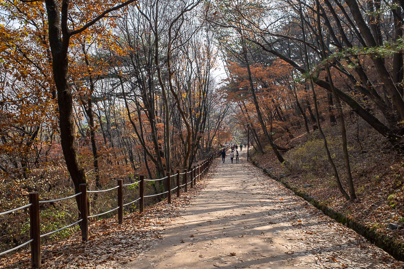 Korea-Seoul-Namhansanseong - I imagine 2 weeks ago, these leaves would have looked great.