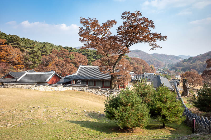 Korea twice in one year - November 2022 - I walked to the very back corner of the Palace grounds to check the lawn was mowed correctly.