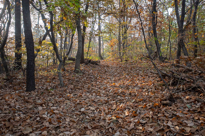 Korea-Seoul-Hiking-Cheonggyesan - Behold, a path, and lots of leaves.