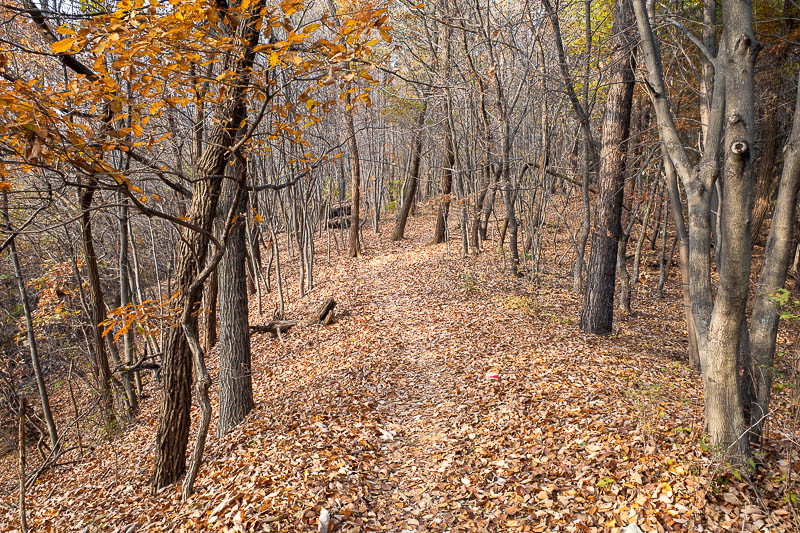 Korea-Seoul-Hiking-Cheonggyesan - Lots and lots of leaves. But a rarely used path all to myself.