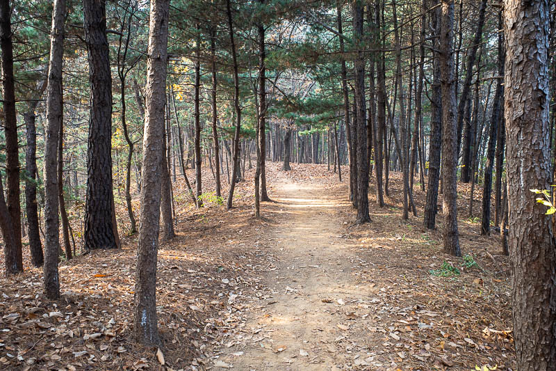 Korea-Seoul-Hiking-Cheonggyesan - This is actually a national park, and so this main trail was very well trodden. No more chance of getting lost today, I skipped for a while now that I