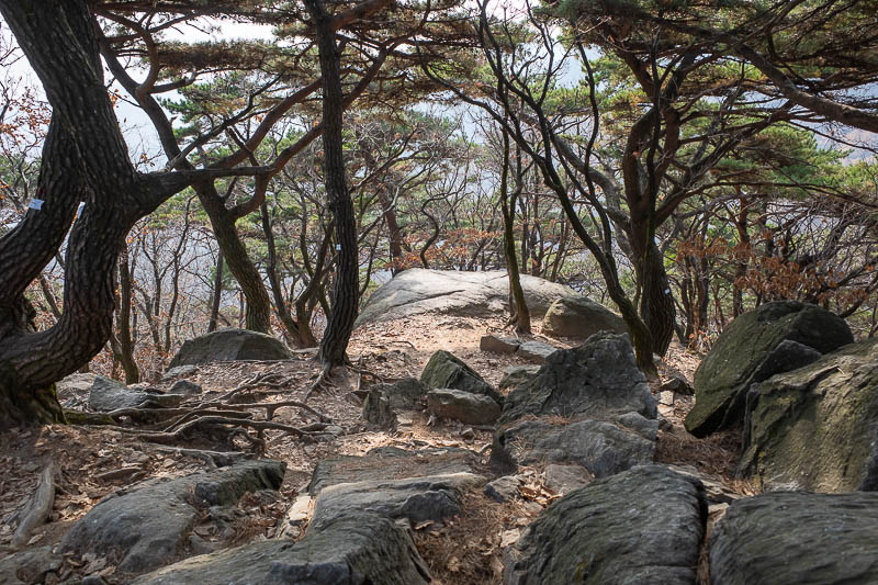 Korea-Seoul-Hiking-Cheonggyesan - Maybe photo of the day. I had my first bottle of water here.