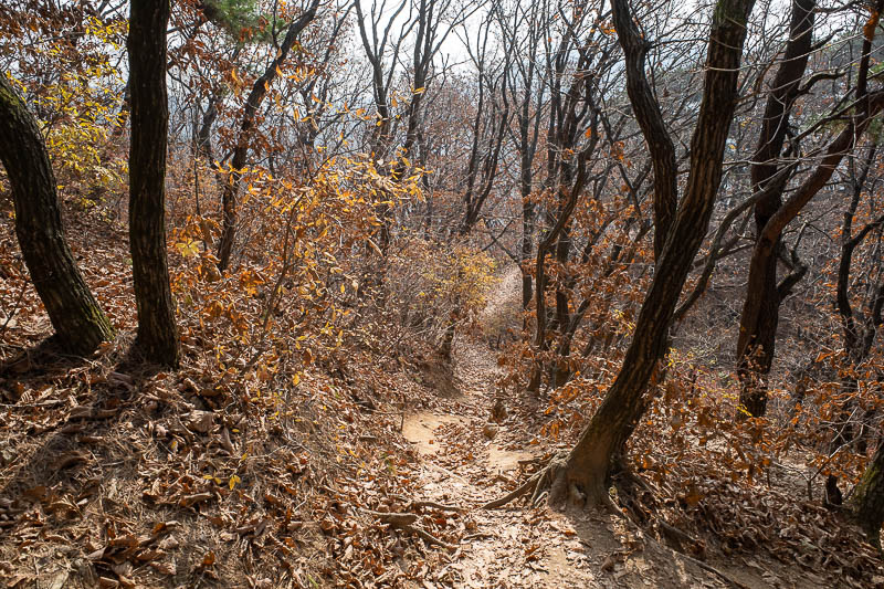 Korea-Seoul-Hiking-Cheonggyesan - The path became less developed again, but there were quite a few people. This was a long undulating section without many big climbs, and no rocky bits