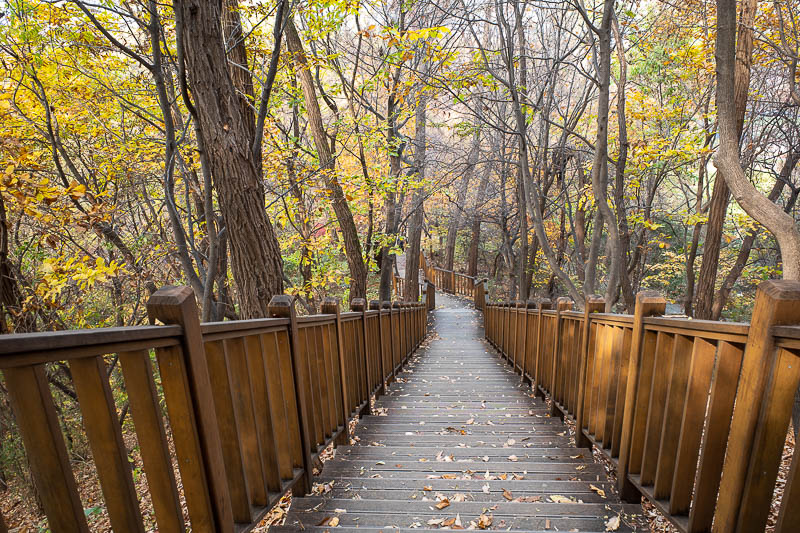 Korea-Seoul-Hiking-Cheonggyesan - Very near the end here and it becomes a grand staircase. Just below here is the 'Seoul Grand Park' where the zoo is, and also a forest bathing area. W