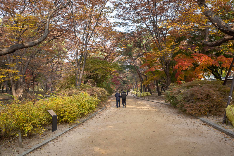 Korea twice in one year - November 2022 - Regular garden, no secrets here.