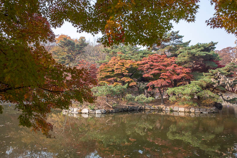 Korea twice in one year - November 2022 - Still just a boring regular garden.