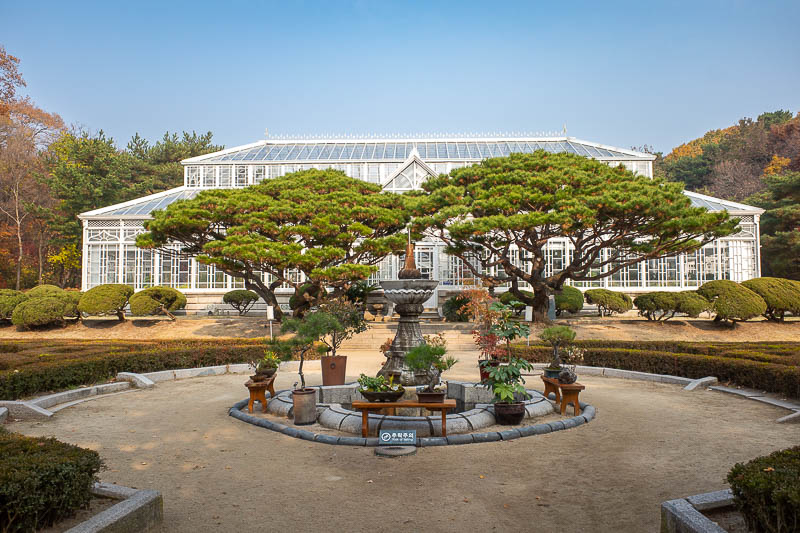 Korea twice in one year - November 2022 - On the edge of this lesser palace is this nice bonsai house thing. I liked it a lot.