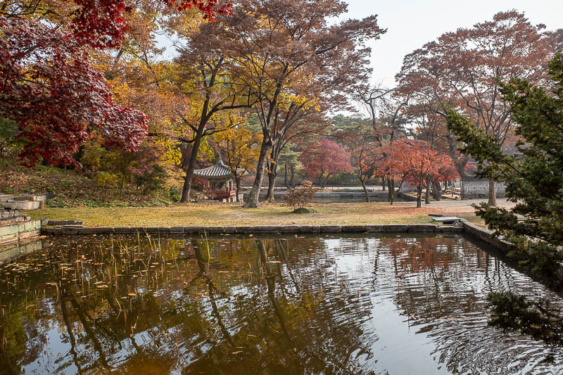Korea twice in one year - November 2022 - One of the few remaining square ponds. Apparently they previously were all square, but when Japan occupied the place they ordered them to be made roun