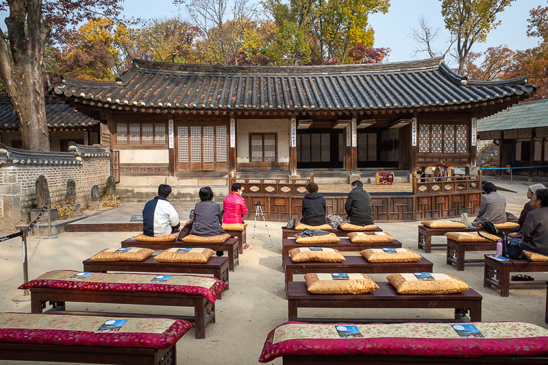Korea-Seoul-Palace-Garden - You can sit and watch some performances. Once everyone was seated I started my act. It was highly inappropriate but probably lost in translation.