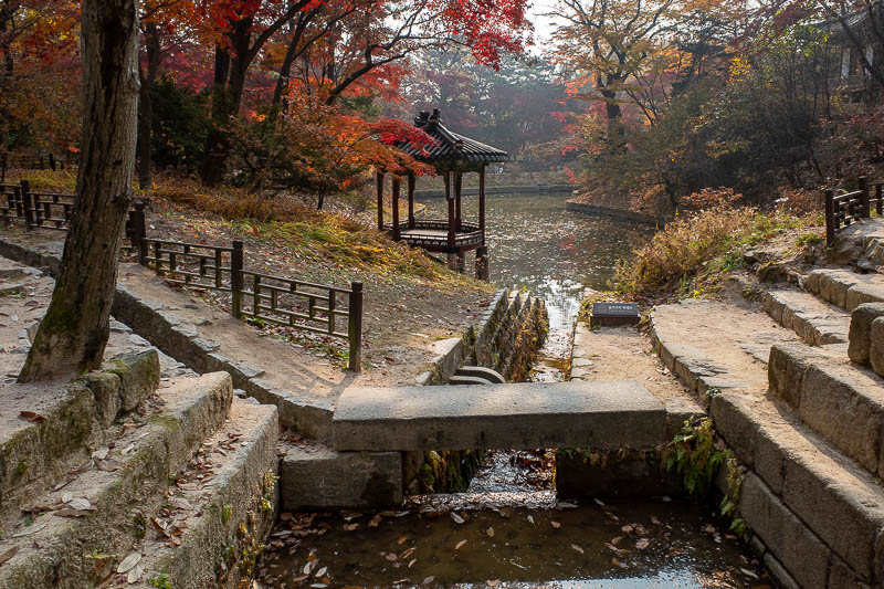 Korea-Seoul-Palace-Garden - A contender for view of the day.